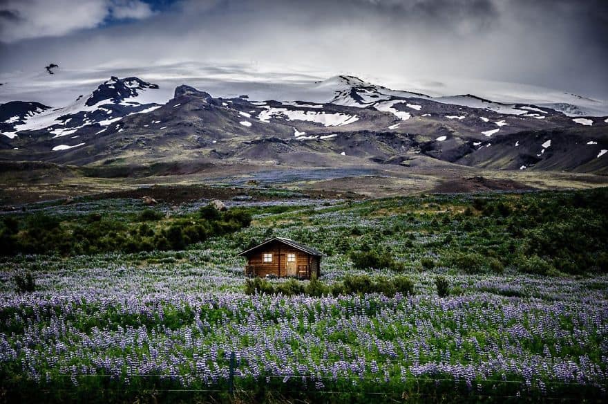 I was driving on Iceland's Route 1 Ring Road and snapped this picture from the window while driving. I was struck by the beautiful transition of color from the sky to the purple meadow. What a place to call home.