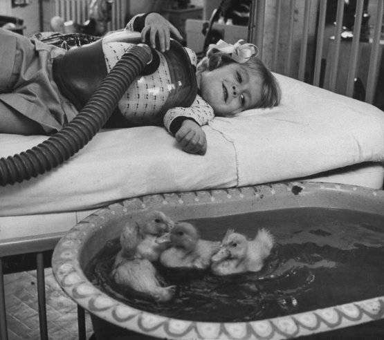 1956: beteg gyereket vidítanak fel állatok segítségével a kórházban