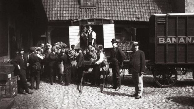 The first bananas to arrive in Norway,1905.