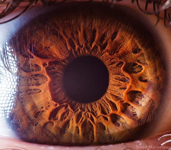extreme close up of human eye macro suren manvelyan 13