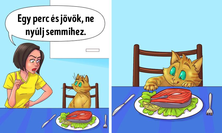 Ne nyulj semmihez